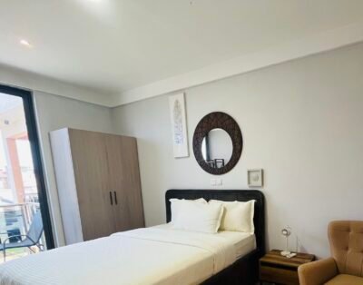 One-bedroom Apartment-E3